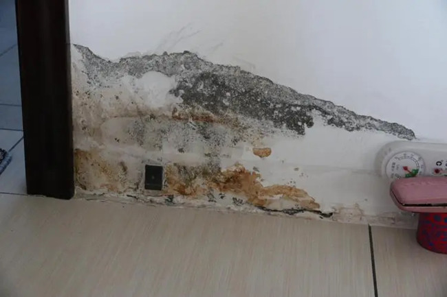 The causes, effects and solutions of bathroom leaks
