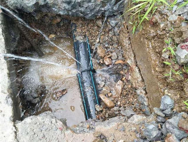 u=390697073,4210663223&fm=173&app=25&f=JPEG_副本