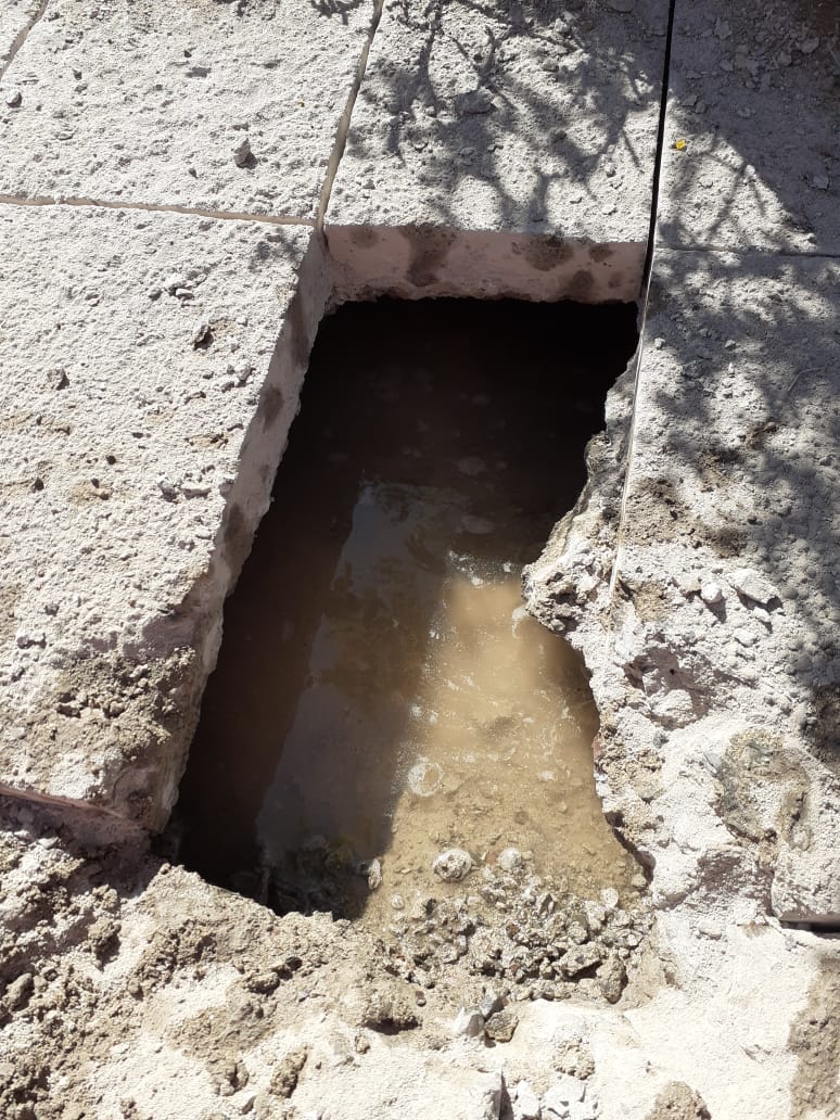 WhatsApp Image 2020-09-22 at 9.10.11 AM