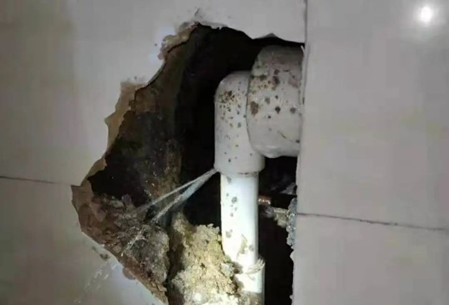 pipeline leak detector