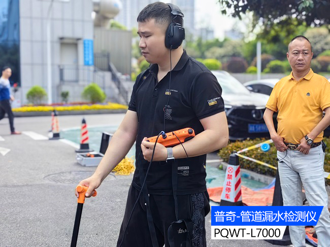 Pipeline leak detector