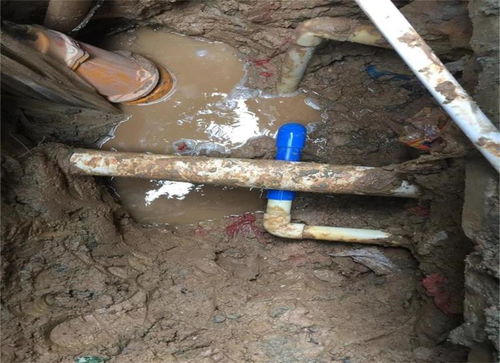 Water supply network pipeline leak detection process