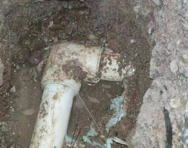 How to choose a water leak detection company that has been reliable